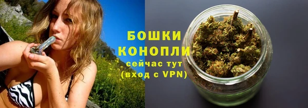 прущая мука Горняк