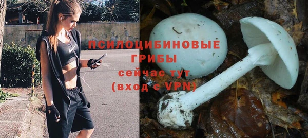 apvp Новокубанск