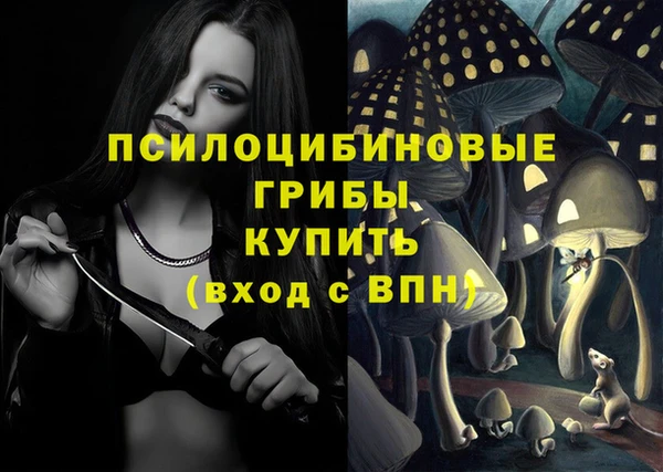 стафф Нязепетровск