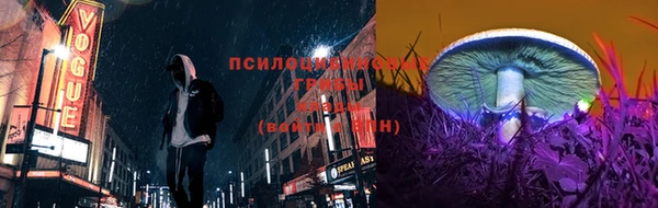 метадон Няндома
