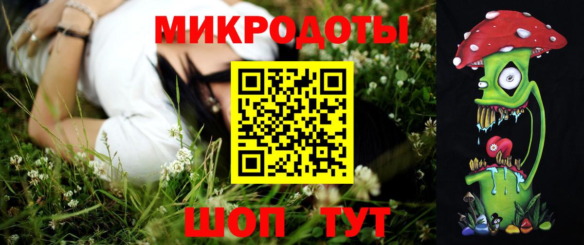 Псилоцибиновые грибы Psilocybe  Луга 