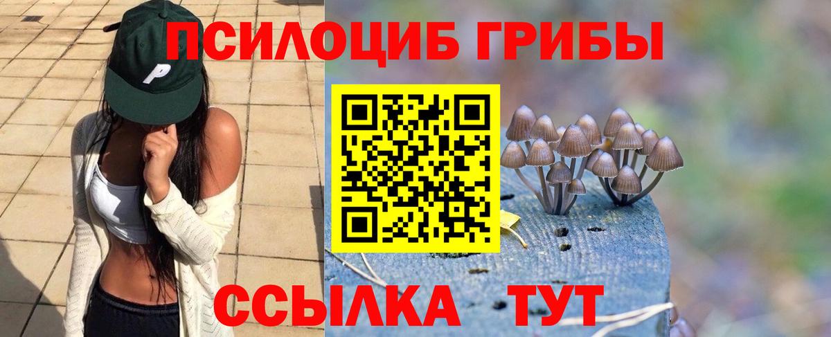 Галлюциногенные грибы Psilocybine cubensis  Галлюциногенные грибы Psilocybe  купить  цена  Вход с VPN  Луга 
